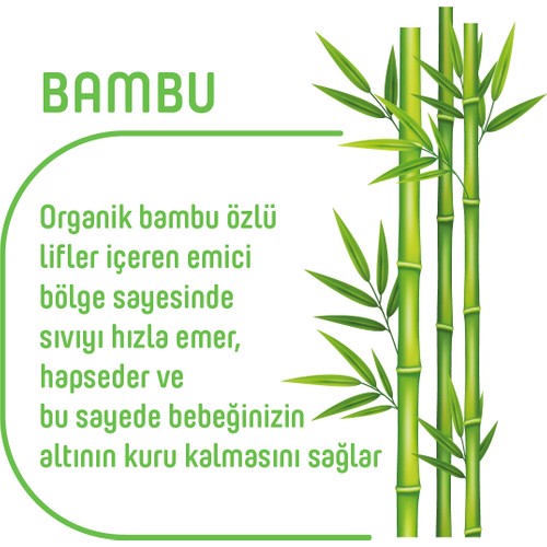 Pure Baby Organik Bambu Özlü Külot Bez 2’li Paket 5 Numara Junior 80 Adet