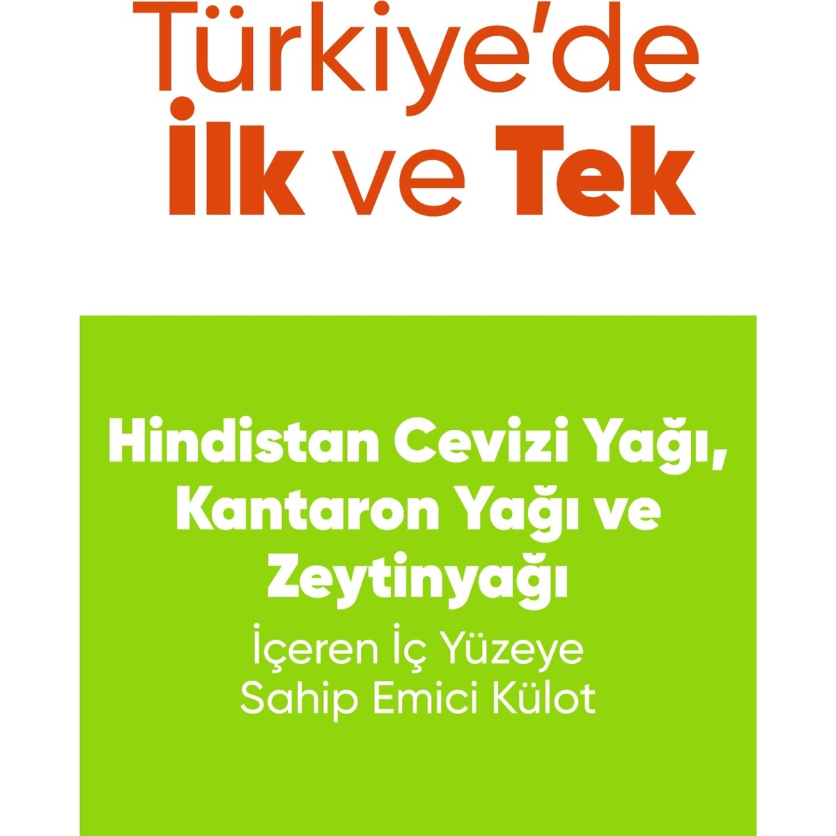 Freshlife Large Emici Külot 30’lu Paket x 4 Adet